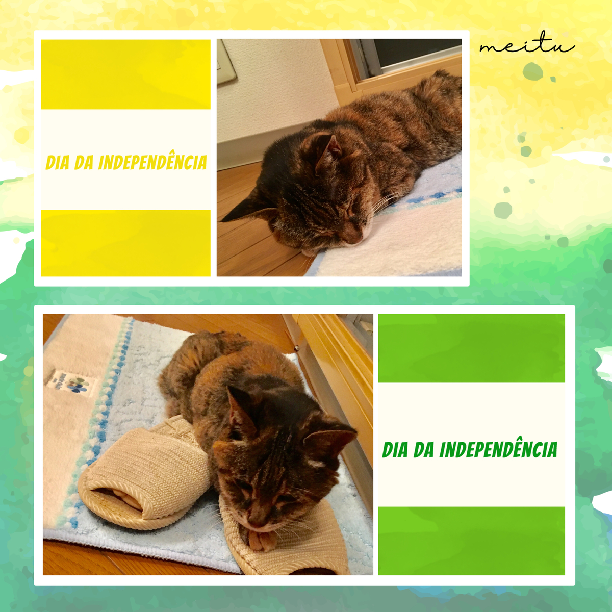 f:id:kissax:20190628180224j:plain f:id:kissax:20190628180224j:plain