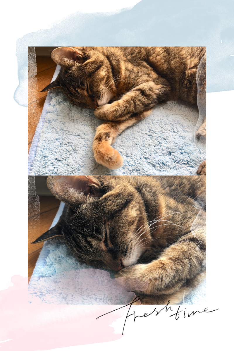 f:id:kissax:20190712190055j:plain f:id:kissax:20190712190055j:plain