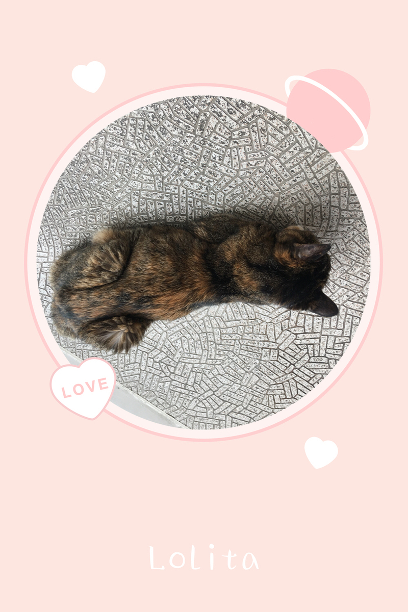 f:id:kissax:20190715183708j:plain f:id:kissax:20190715183708j:plain