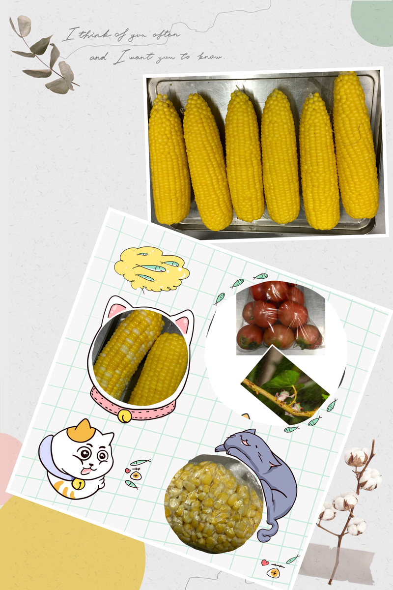 f:id:kissax:20190719180340j:plain