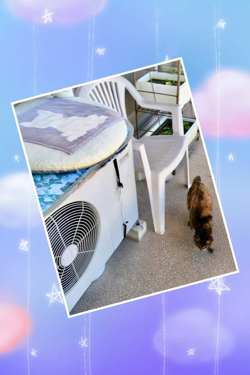 f:id:kissax:20190719181211j:plain