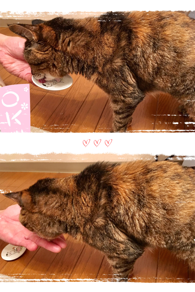 f:id:kissax:20190729160052j:plain