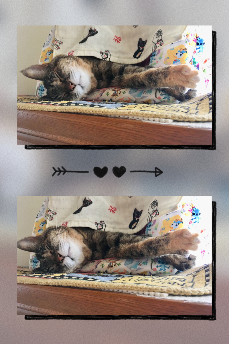 f:id:kissax:20190812175438j:plain f:id:kissax:20190812175438j:plain