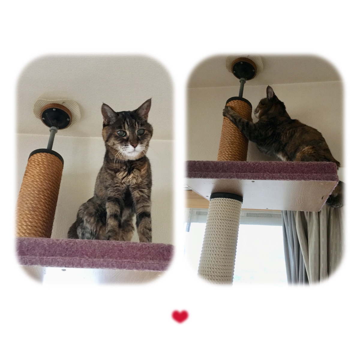 f:id:kissax:20190828160445j:plain