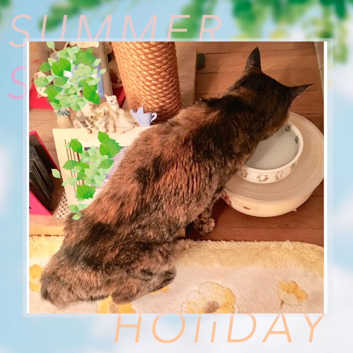 f:id:kissax:20190906175950j:plain f:id:kissax:20190906175950j:plain