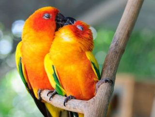f:id:kissax:20190922185827j:plain f:id:kissax:20190922185827j:plain