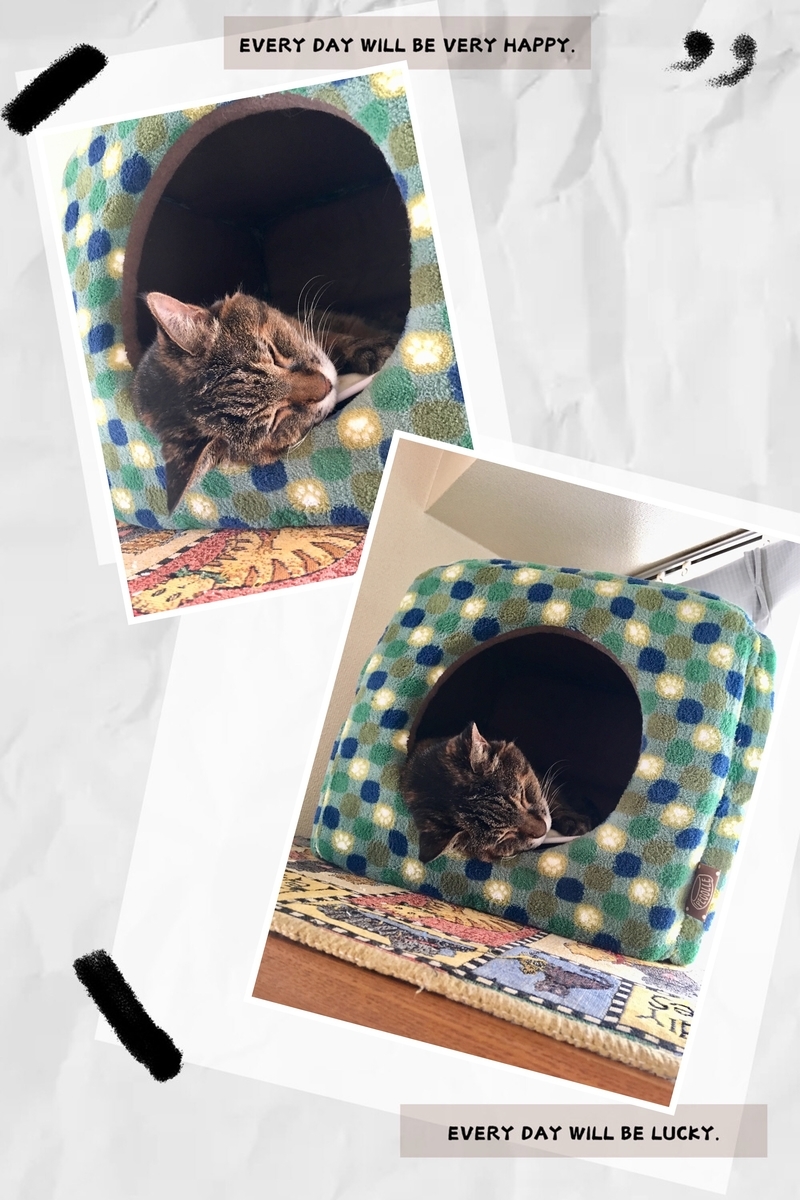 f:id:kissax:20190922190443j:plain f:id:kissax:20190922190443j:plain