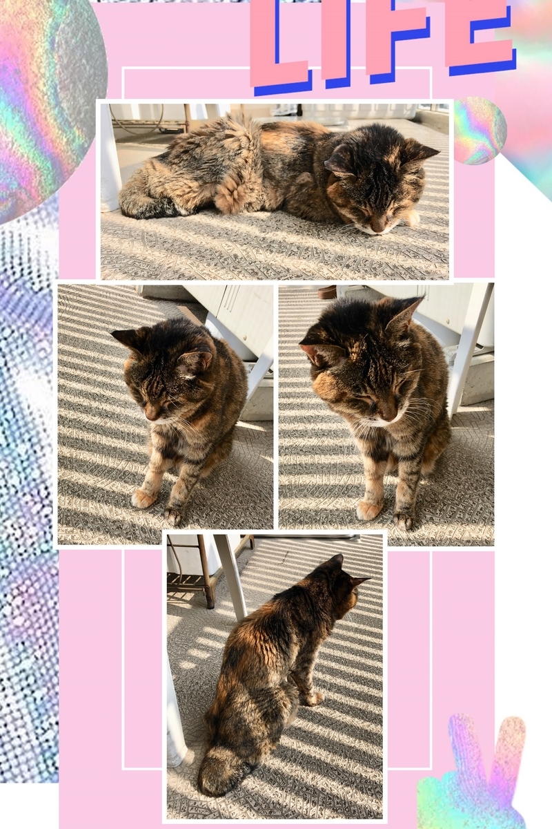 f:id:kissax:20190929164141j:plain f:id:kissax:20190929164141j:plain