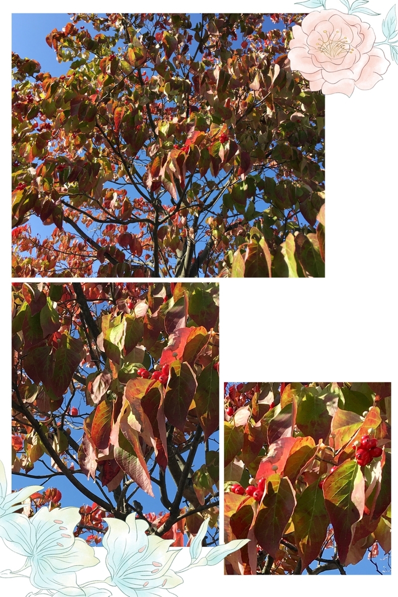 f:id:kissax:20191103160914j:plain f:id:kissax:20191103160914j:plain