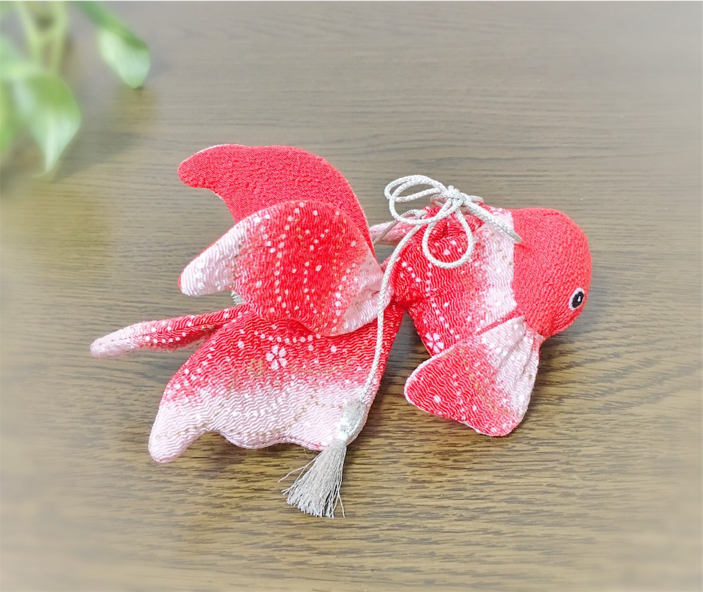f:id:kisshousoukadou:20190701204040j:image