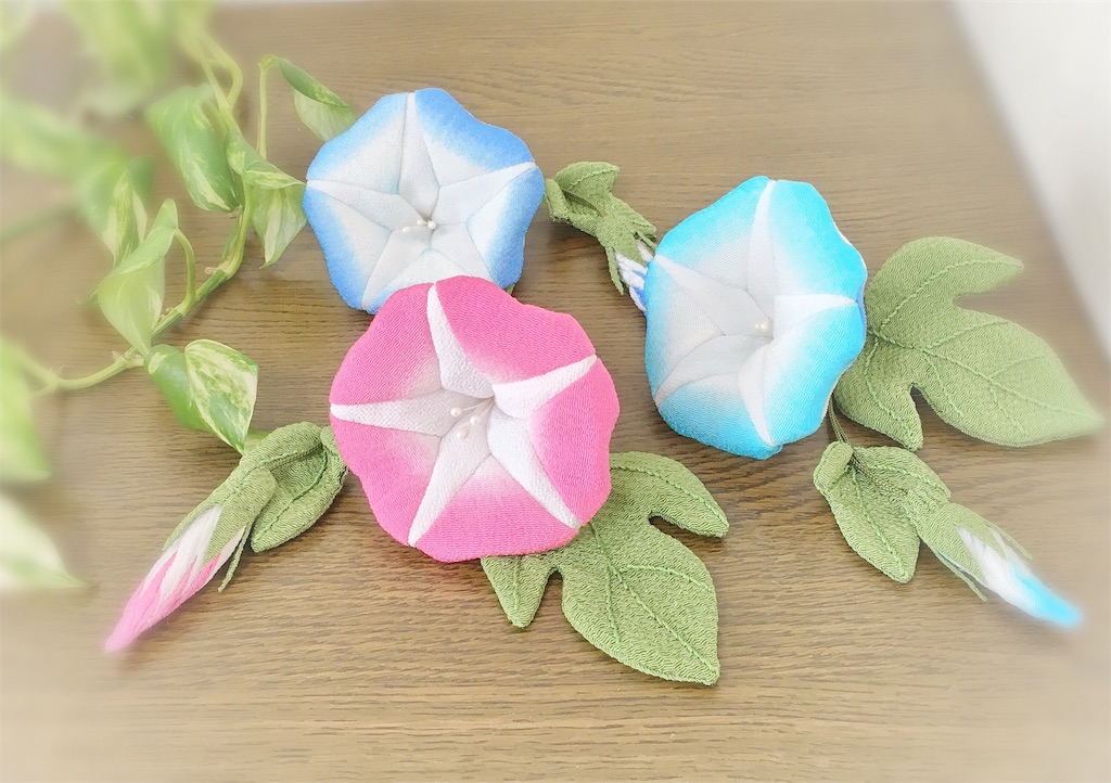 f:id:kisshousoukadou:20190711130148j:image