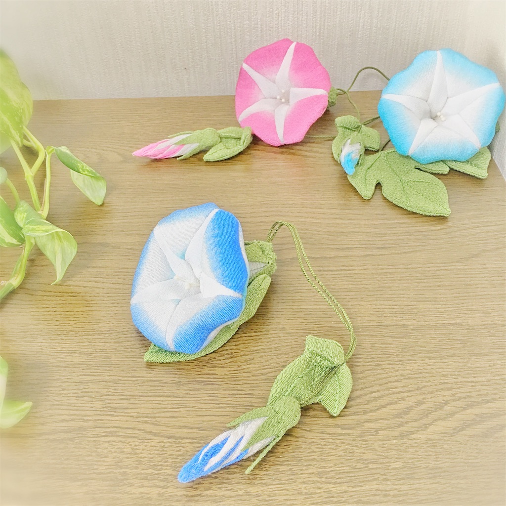 f:id:kisshousoukadou:20190711130911j:image