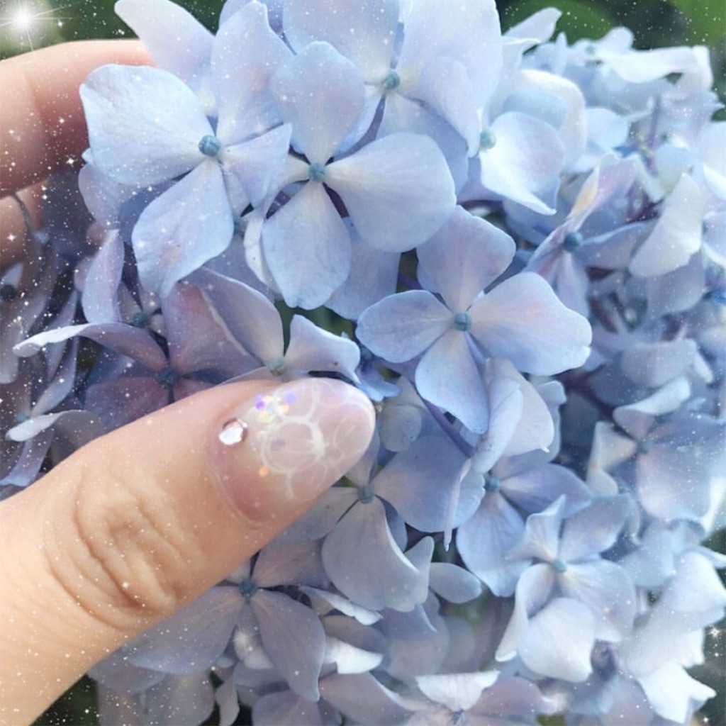 f:id:kisskillme:20191119181314j:image
