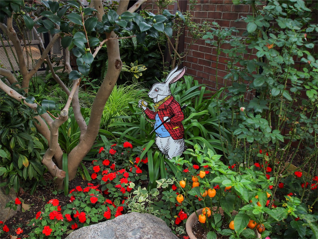 f:id:kisskillme:20191120142140j:image