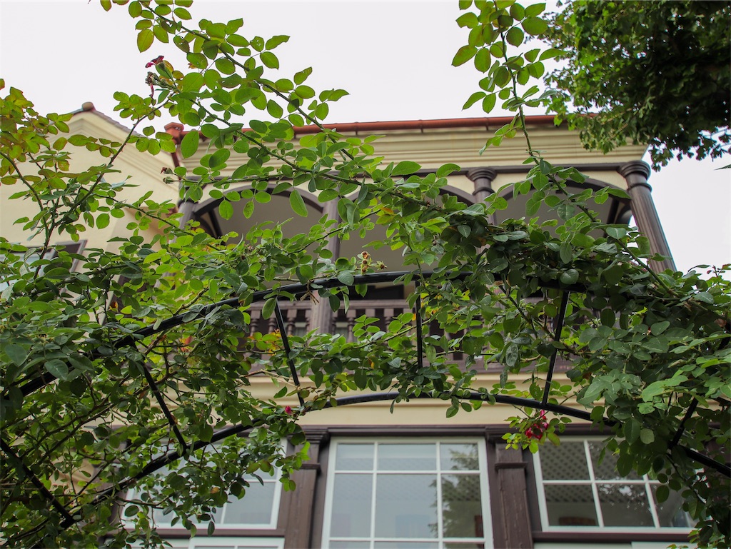 f:id:kisskillme:20191120142307j:image