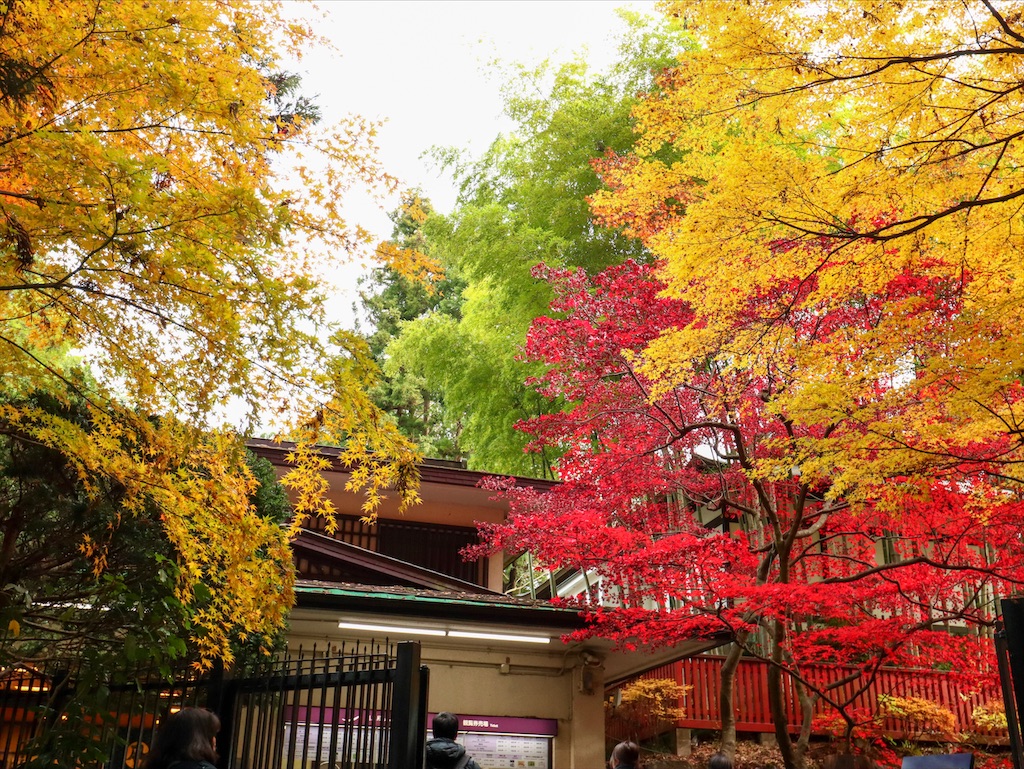 f:id:kisskillme:20200113182117j:image