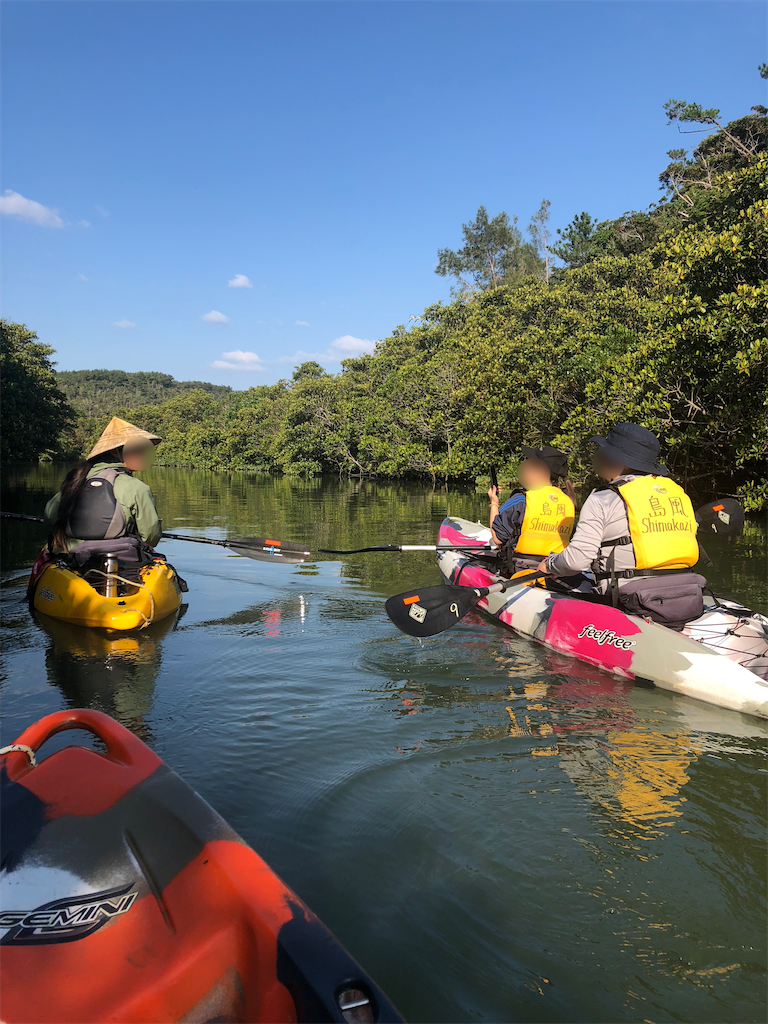 f:id:kisskillme:20200429155432p:image