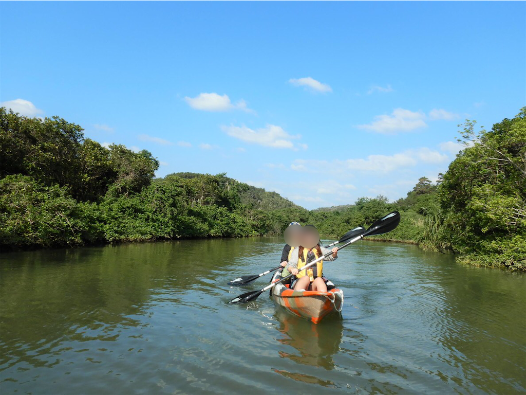 f:id:kisskillme:20200429155447p:image