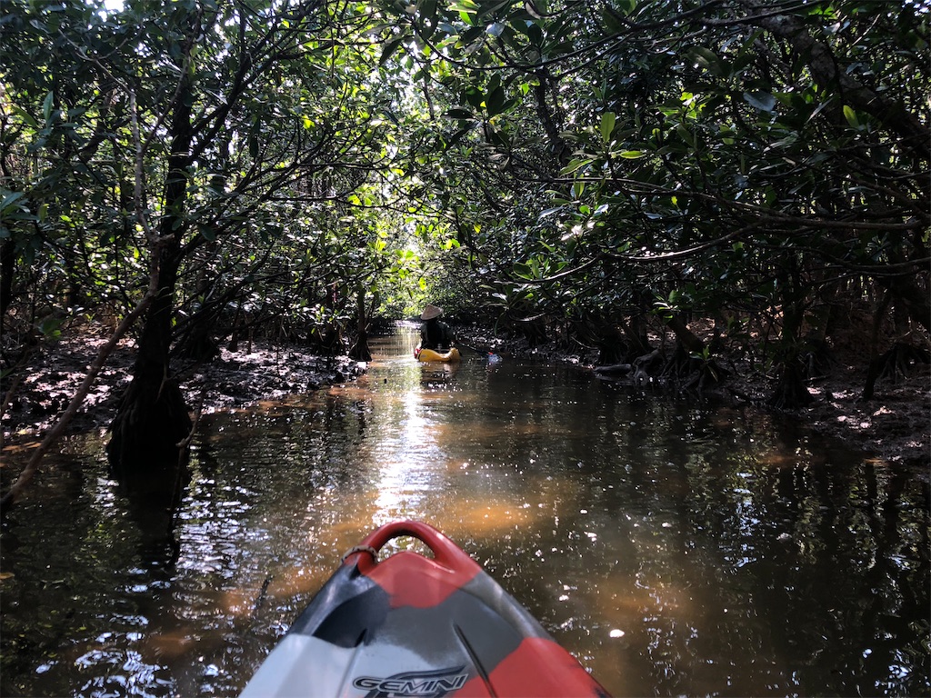 f:id:kisskillme:20200429155453j:image