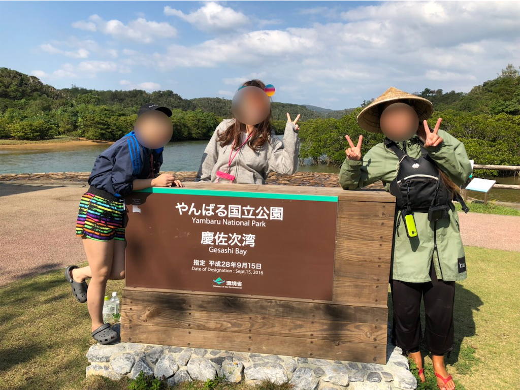 f:id:kisskillme:20200429155458p:image