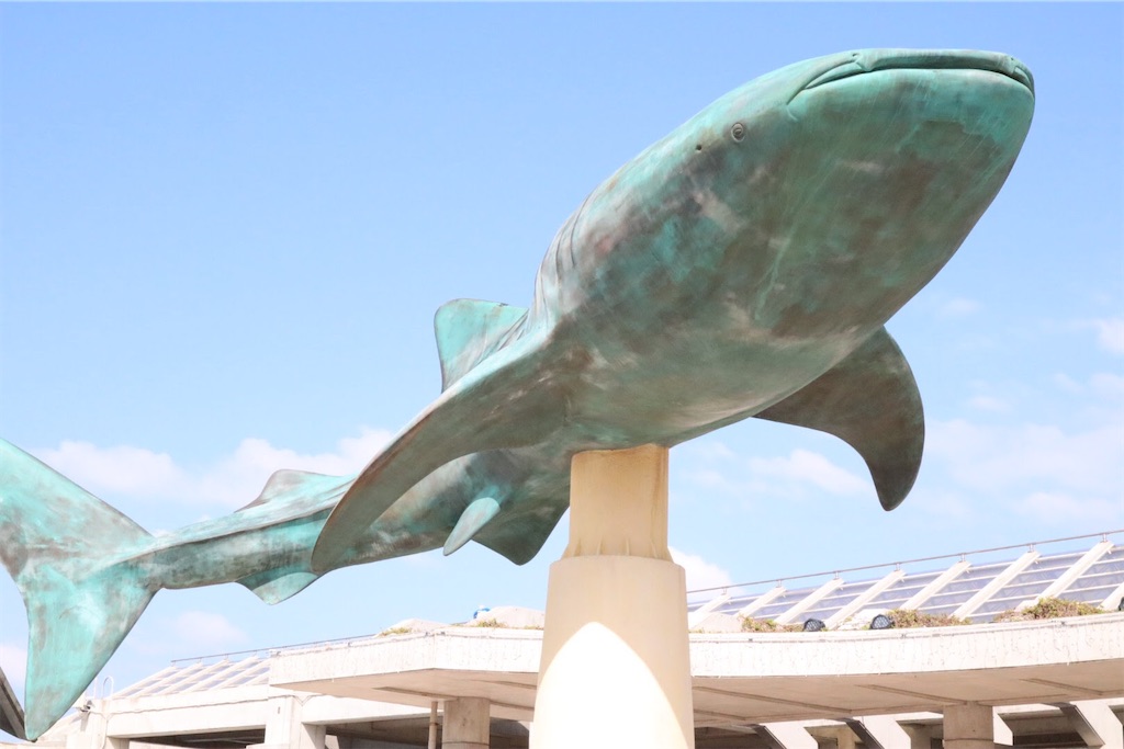 f:id:kisskillme:20200429160131j:image