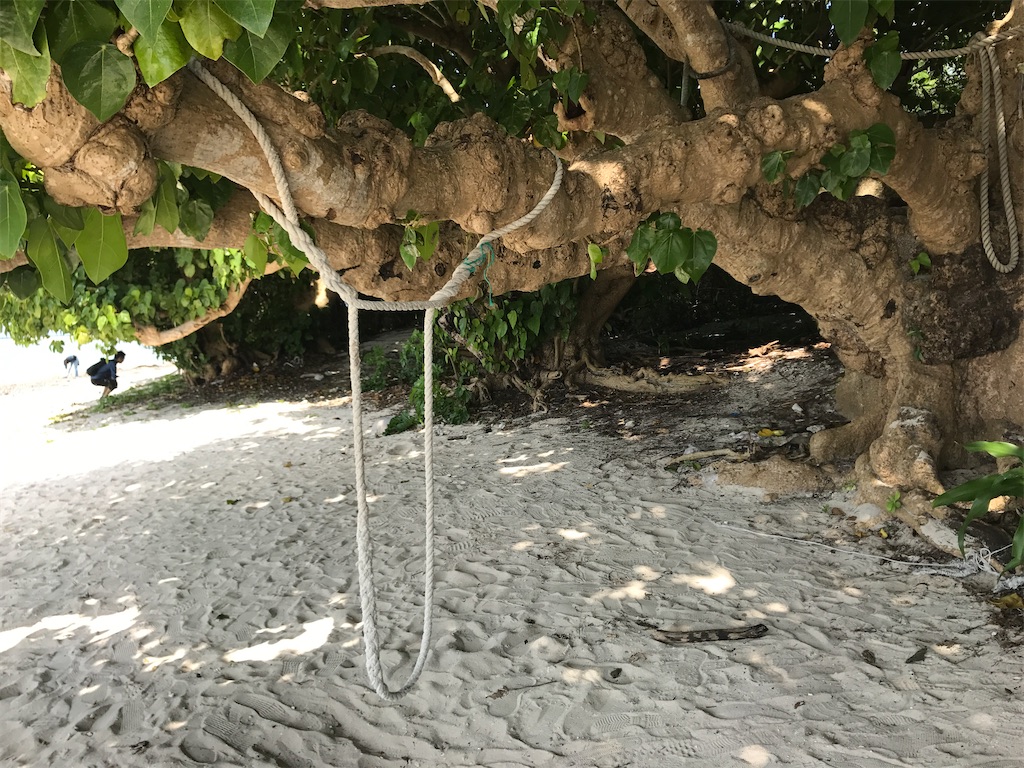 f:id:kisskillme:20200601084843j:image