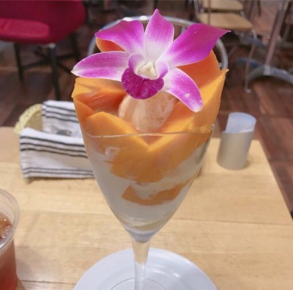 f:id:kisskillme:20200614130821j:image f:id:kisskillme:20200614130821j:image