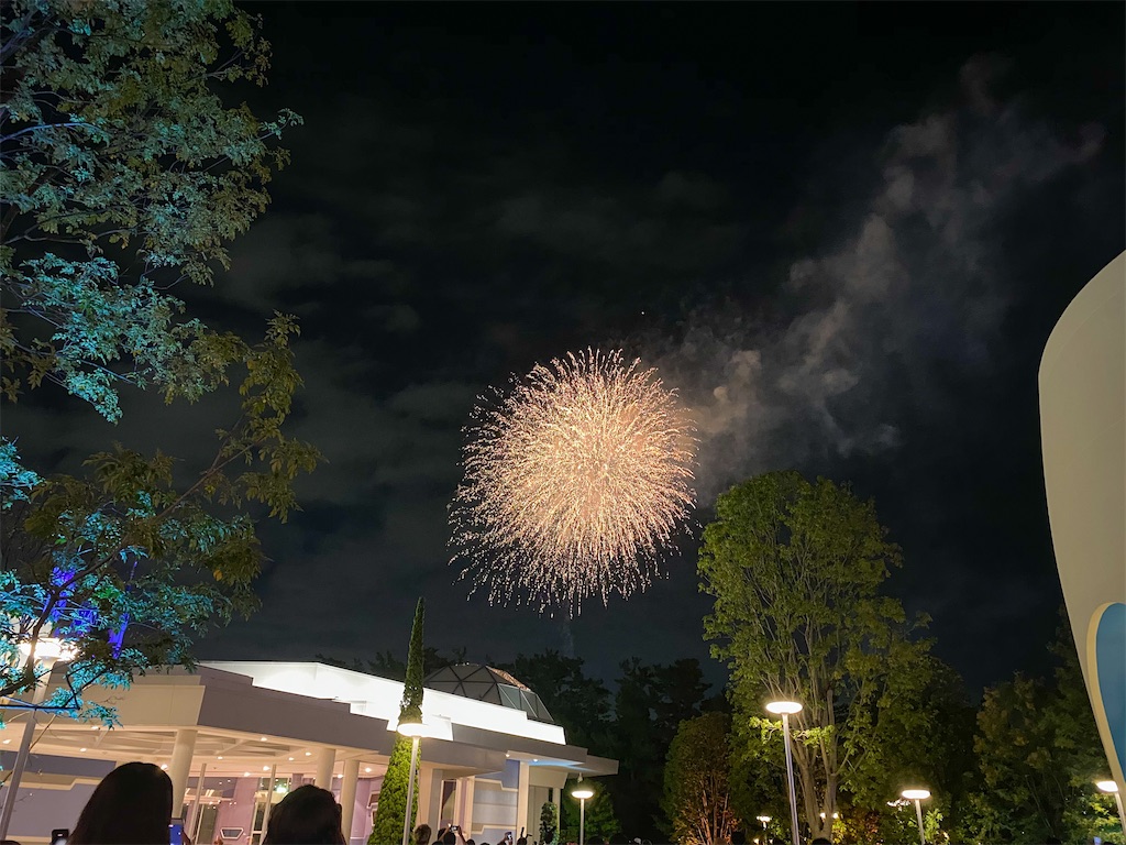 f:id:kisskillme:20201027134551j:image