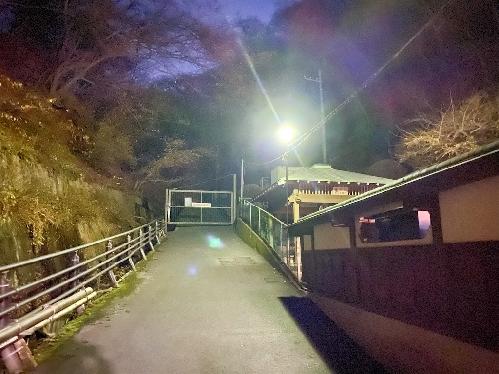 f:id:kisskillme:20201209183748j:image