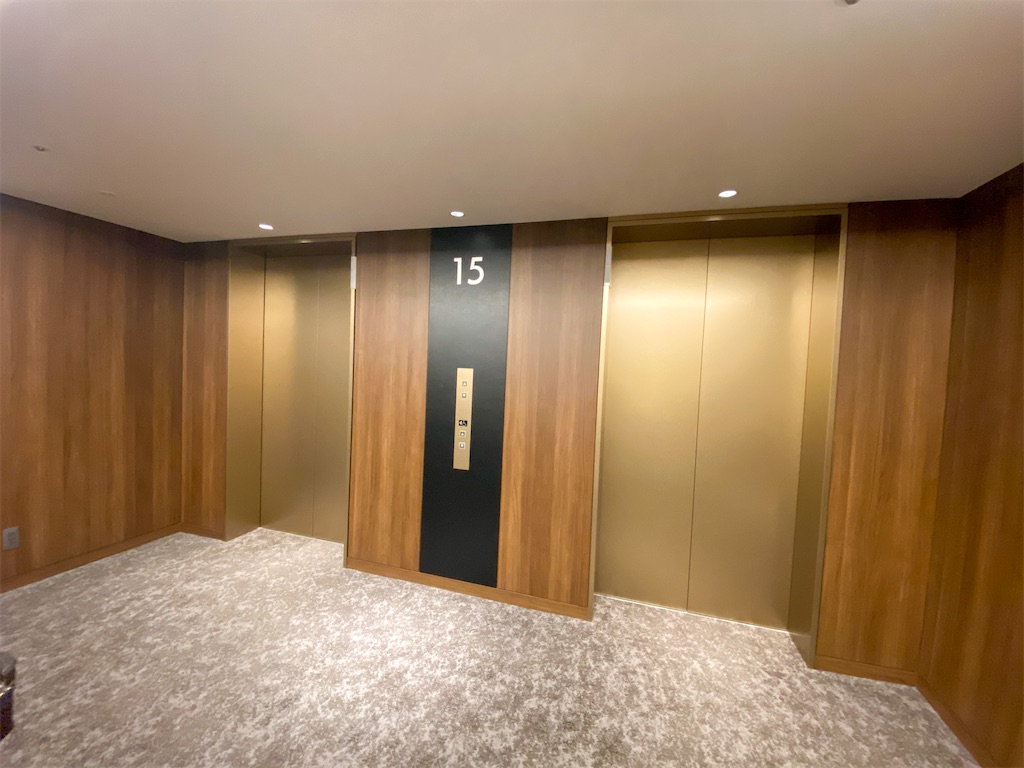 f:id:kisskillme:20210102162242j:image