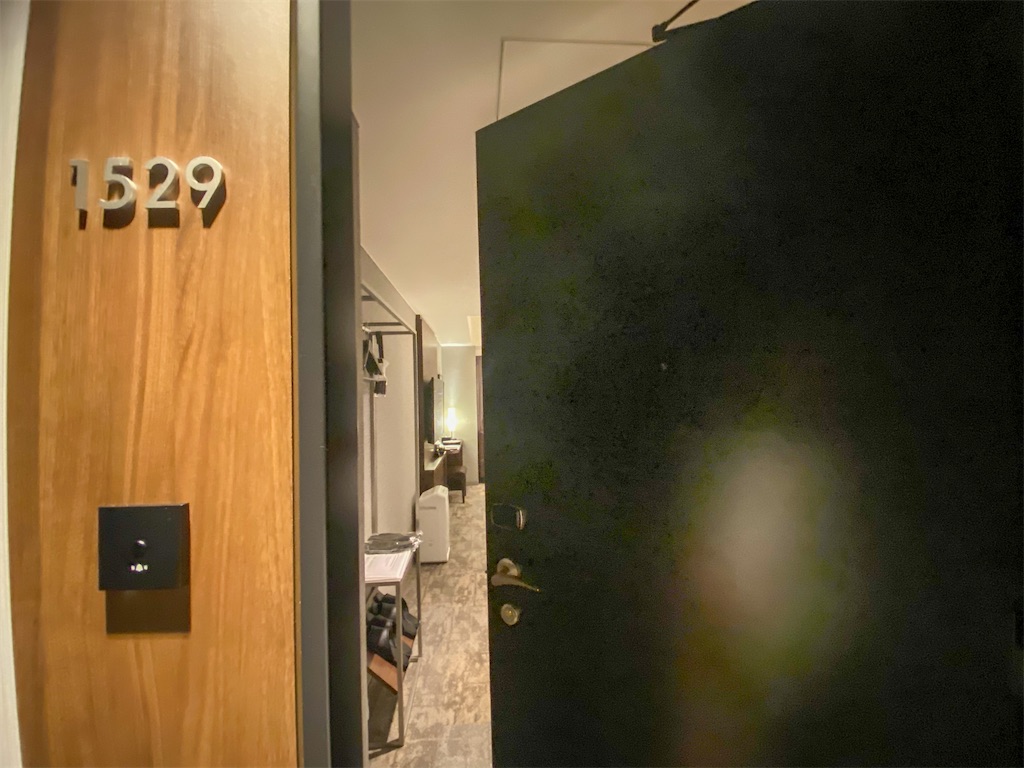 f:id:kisskillme:20210102162246j:image