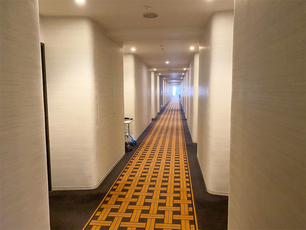 f:id:kisskillme:20210316083605j:image