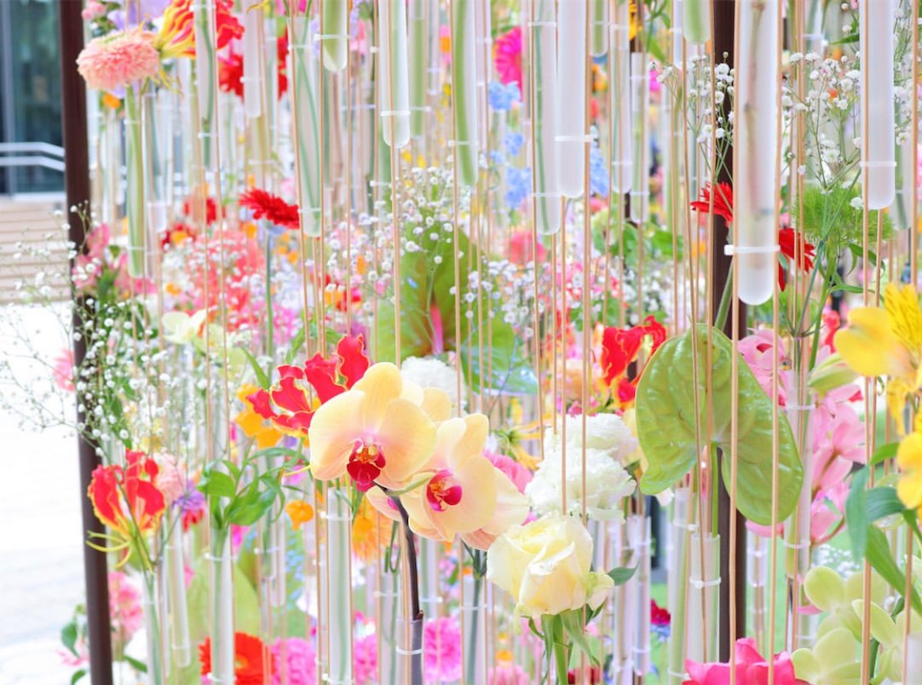 f:id:kisskillme:20210419183639j:image f:id:kisskillme:20210419183639j:image