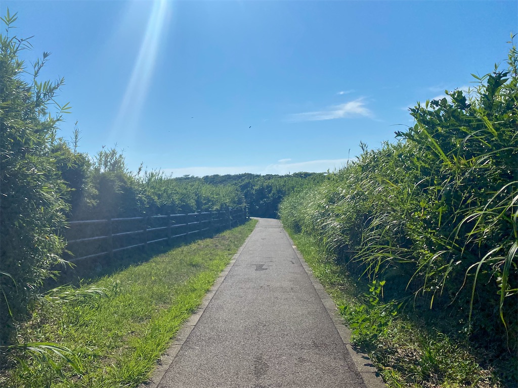 f:id:kisskillme:20211001135726j:image