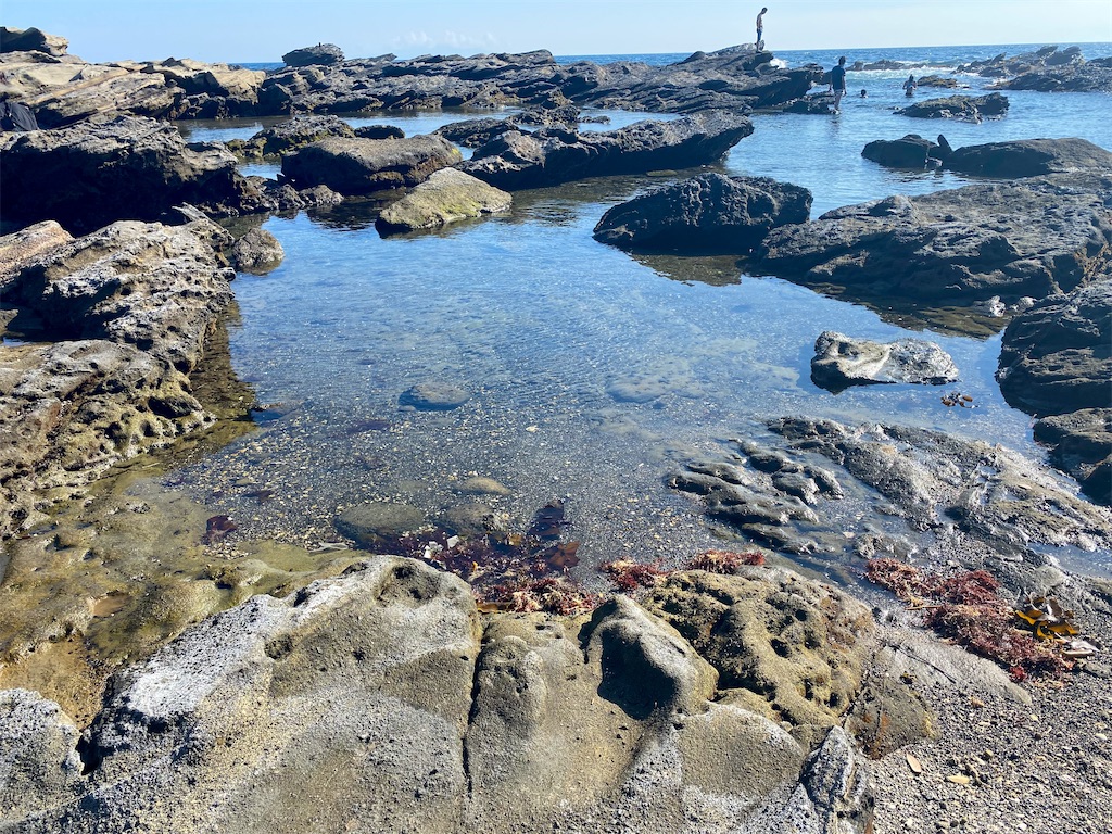 f:id:kisskillme:20211001135732j:image