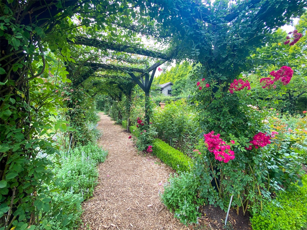 f:id:kisskillme:20211004135941j:image f:id:kisskillme:20211004135941j:image