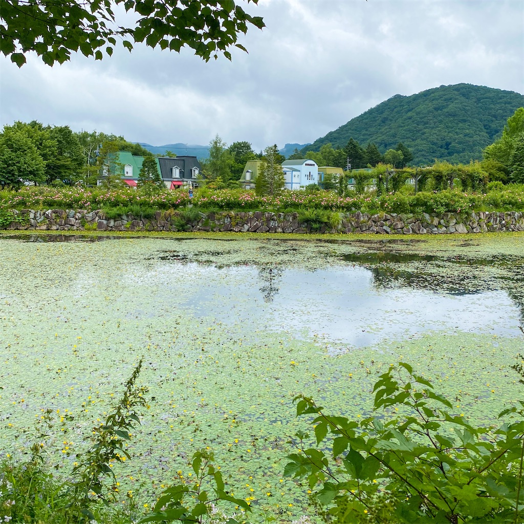 f:id:kisskillme:20211004140038j:image f:id:kisskillme:20211004140038j:image