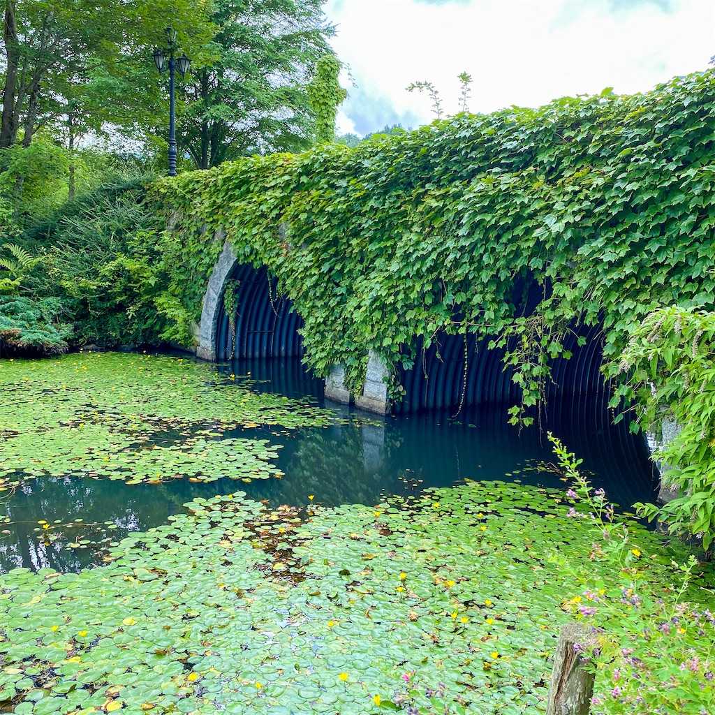 f:id:kisskillme:20211005084407j:image f:id:kisskillme:20211005084407j:image