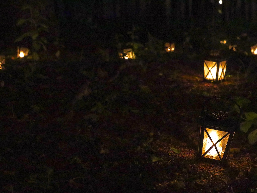 f:id:kisskillme:20211105134446j:image