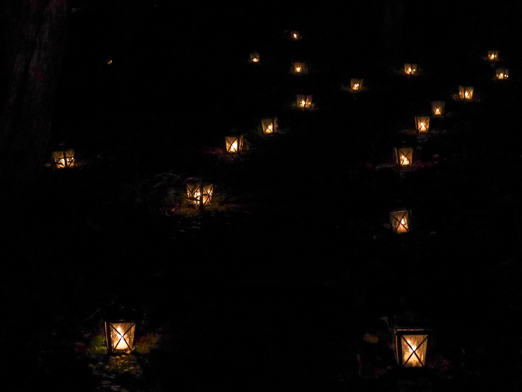 f:id:kisskillme:20211105134448j:image