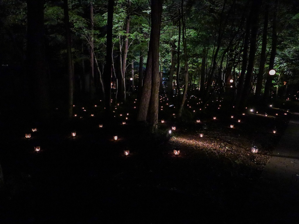 f:id:kisskillme:20211105134451j:image