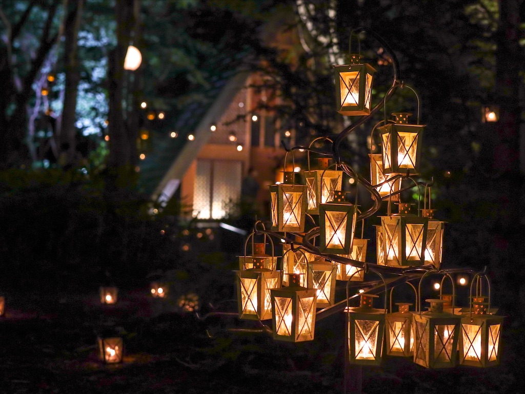 f:id:kisskillme:20211105134456j:image f:id:kisskillme:20211105134456j:image