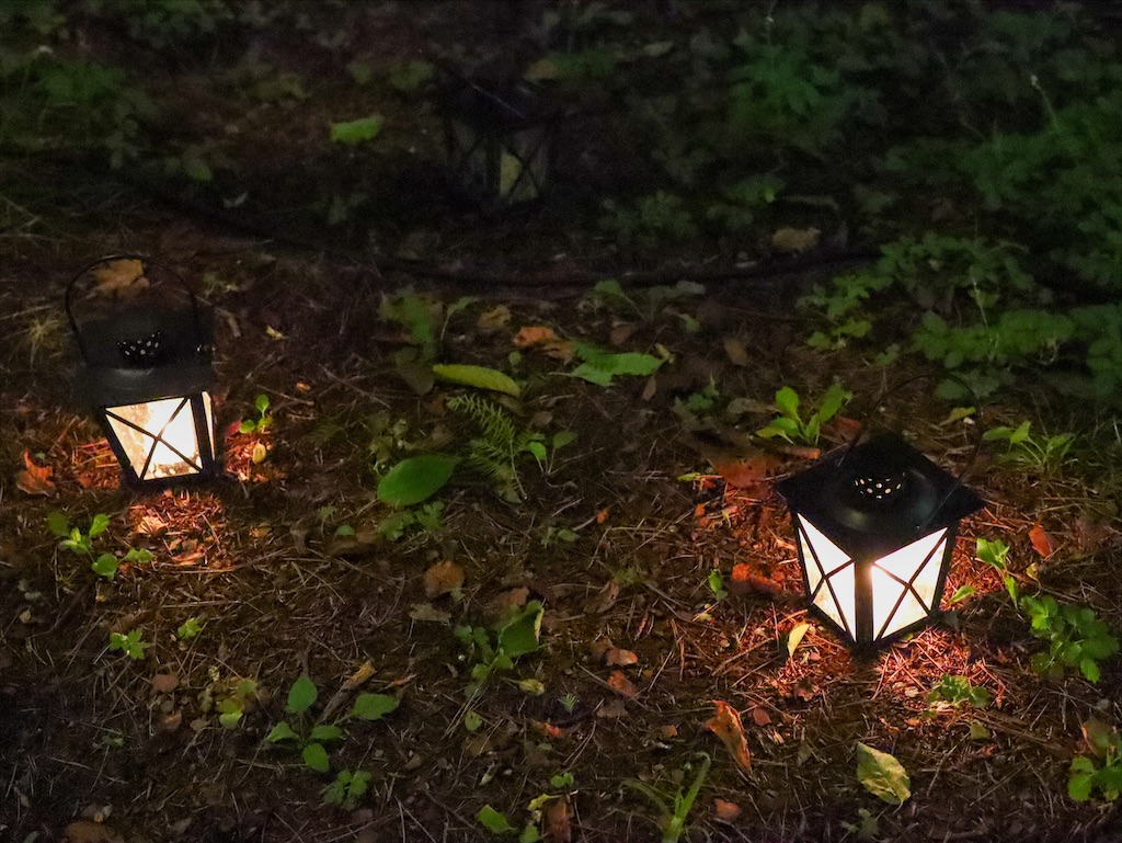 f:id:kisskillme:20211105135047j:image