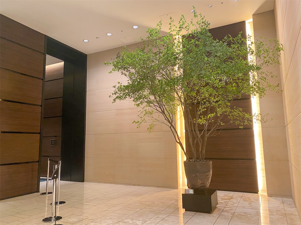 f:id:kisskillme:20220207135028j:image