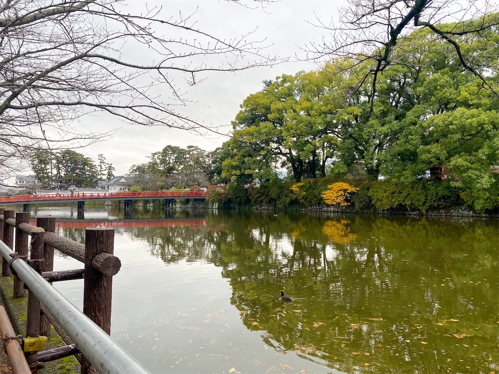 f:id:kisskillme:20220324134400j:image