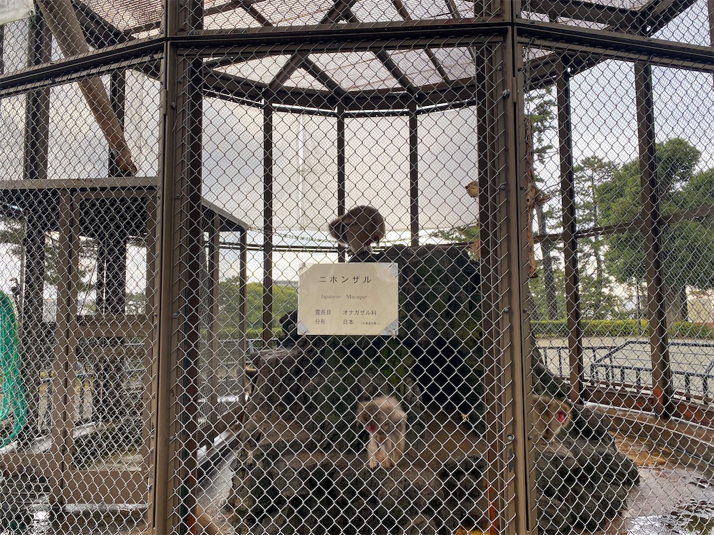 f:id:kisskillme:20220324134908j:image