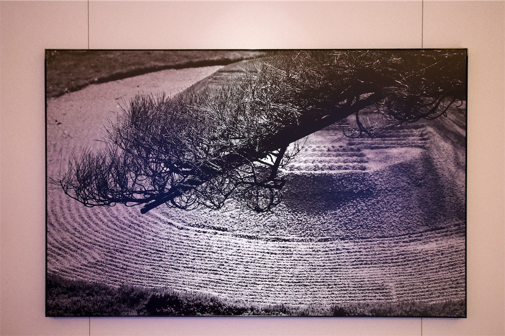 f:id:kisskillme:20220524084701j:image