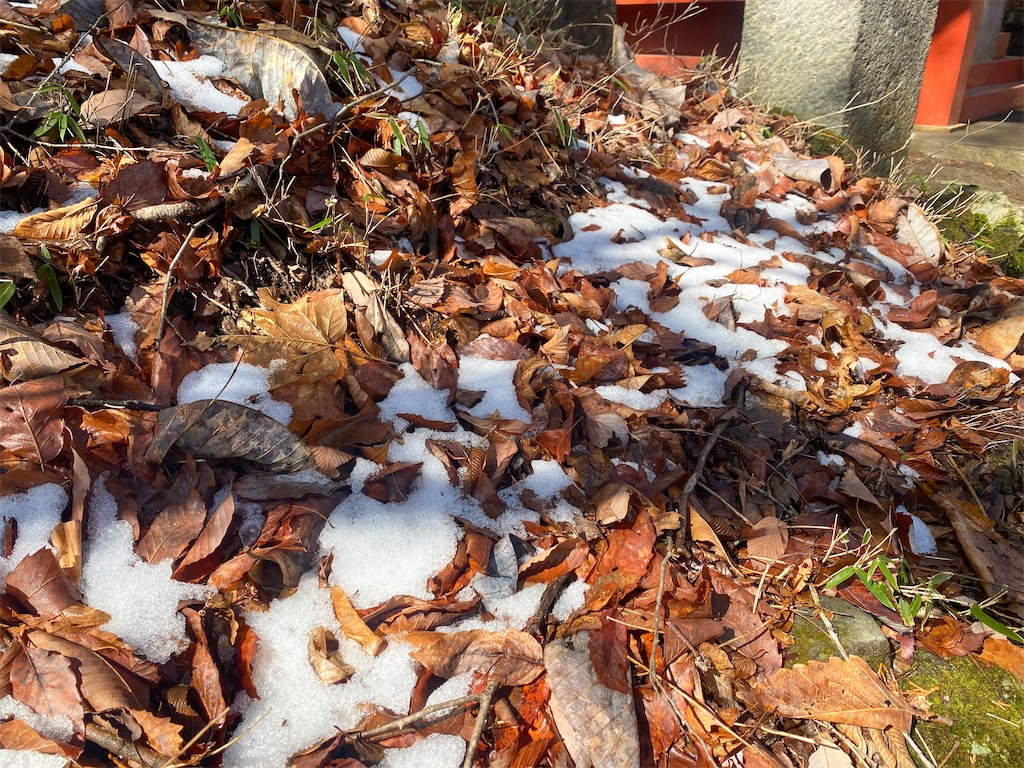 f:id:kisskillme:20220822082727j:image f:id:kisskillme:20220822082727j:image