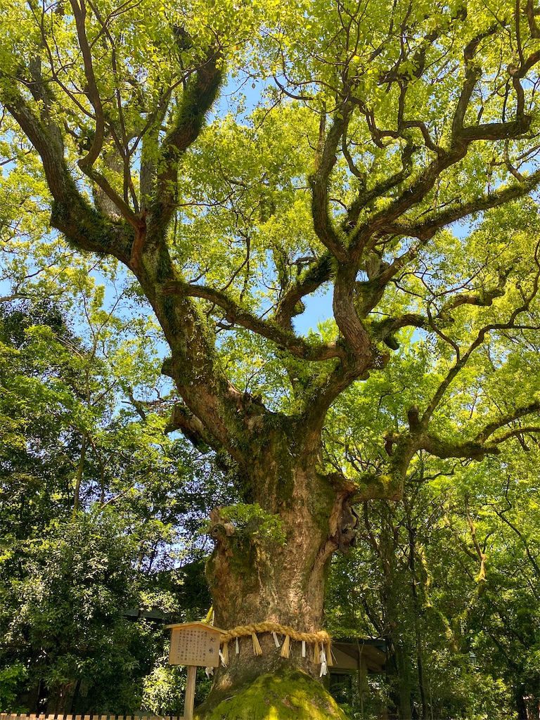 f:id:kisskillme:20221003082742j:image f:id:kisskillme:20221003082742j:image