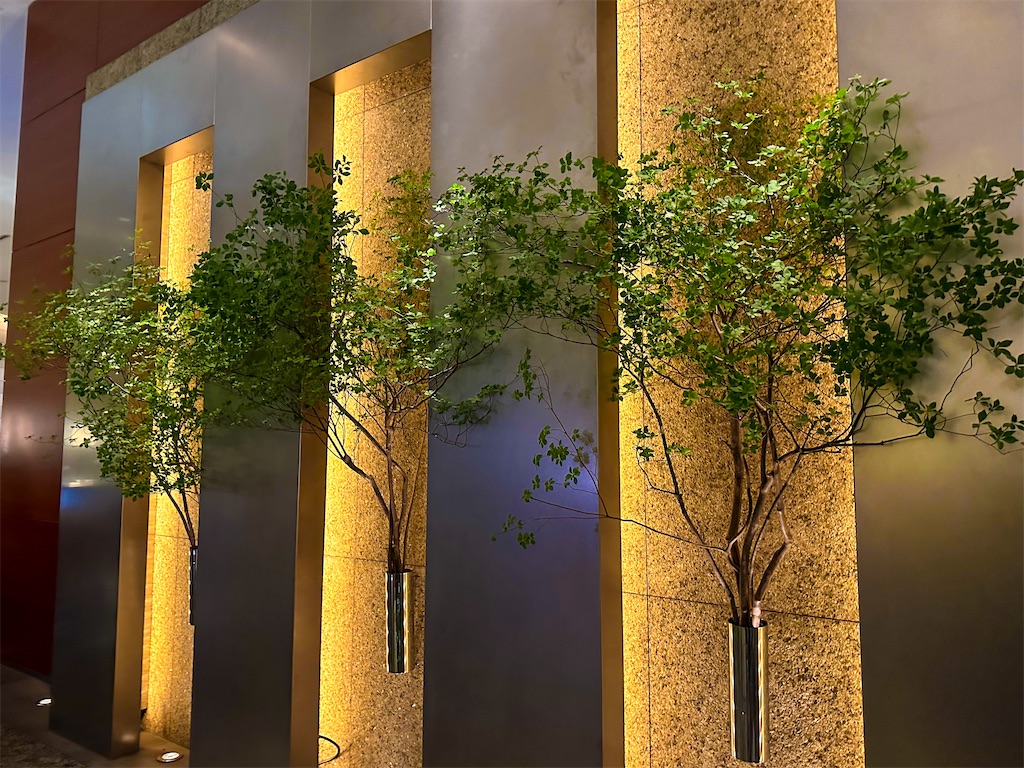 f:id:kisskillme:20230526135634j:image